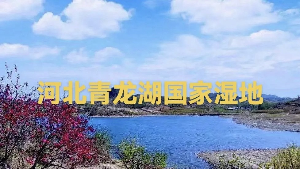 河北青龙湖国家湿地公园旅行图片 1