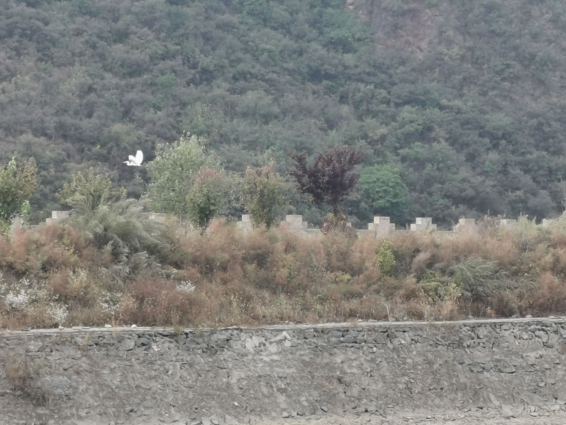 河北青龙湖国家湿地公园旅行图片 2
