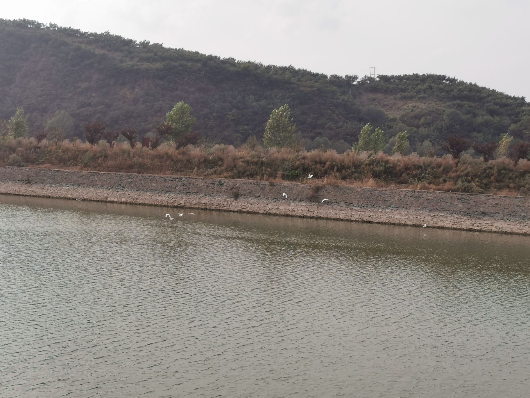 河北青龙湖国家湿地公园旅行图片 1