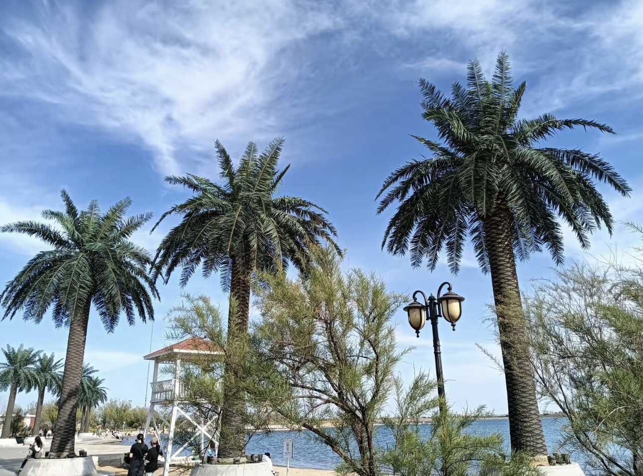 揽月湾景区旅行图片 3