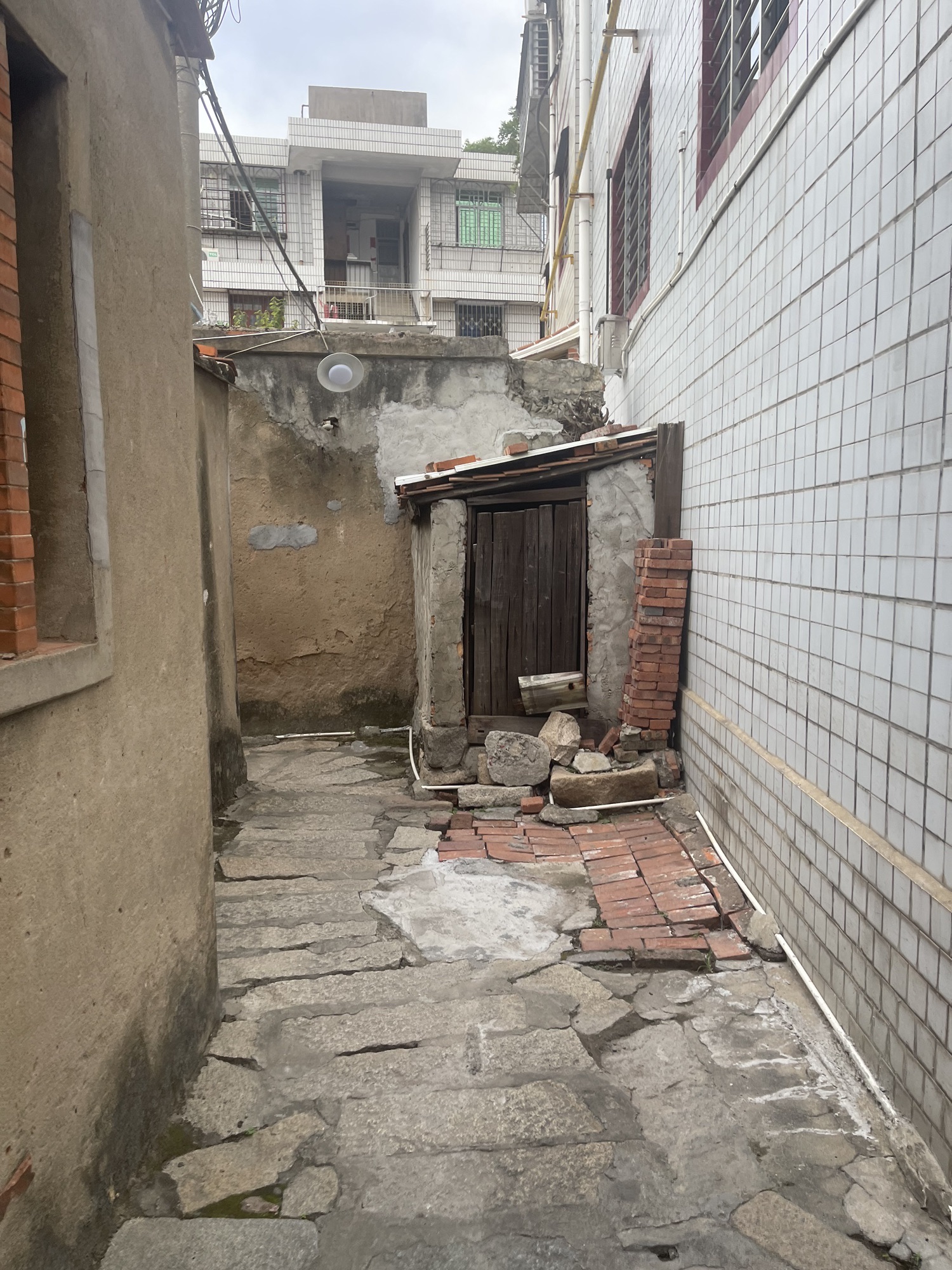 紫云大哥公旅行图片 2