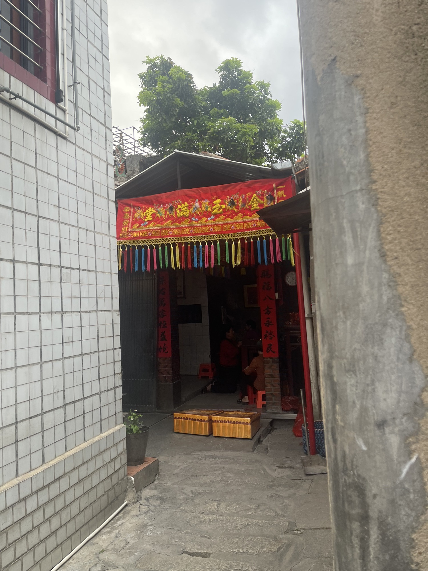 紫云大哥公旅行图片 3