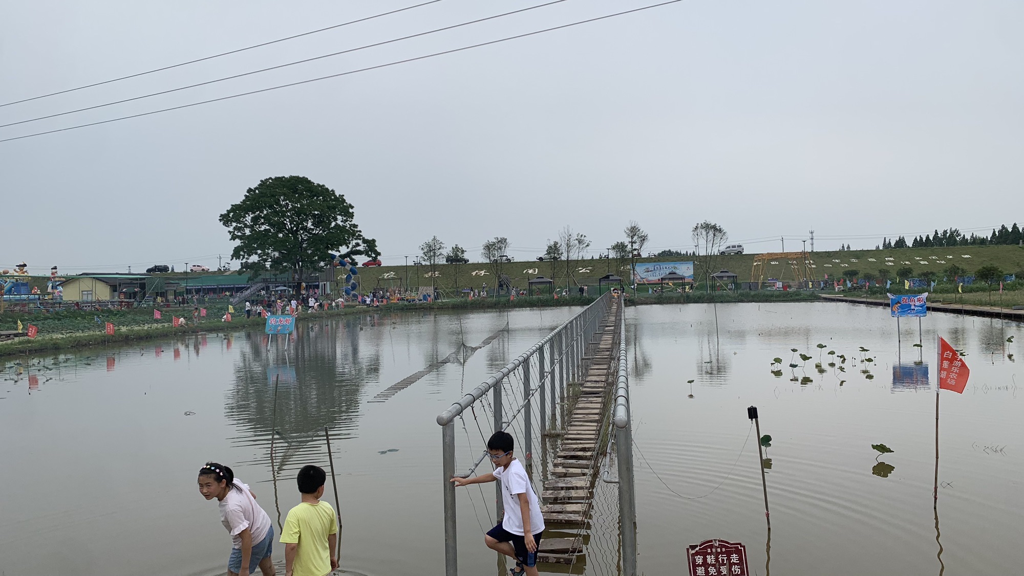 白莲湖农旅休闲公园旅行图片 2