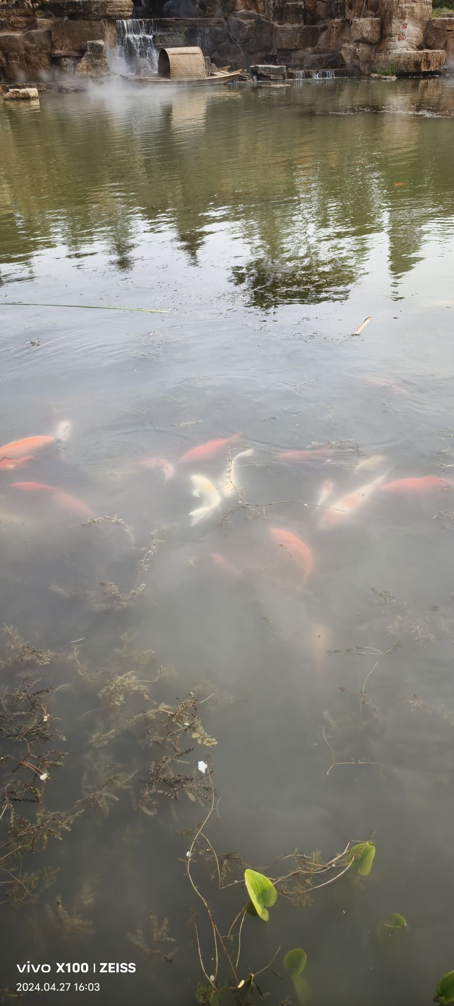 泮水公园旅行图片 3