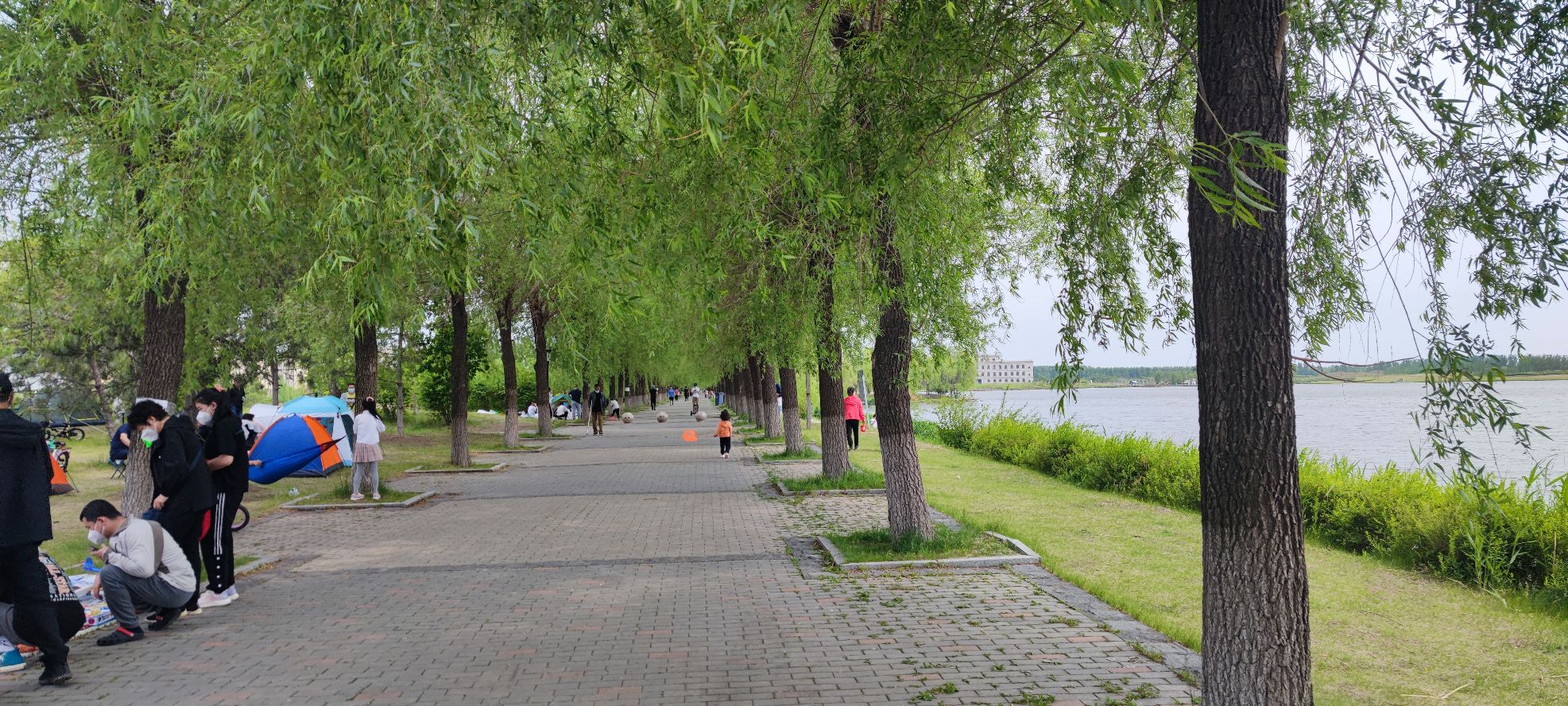 天茂湖公园旅行图片 1