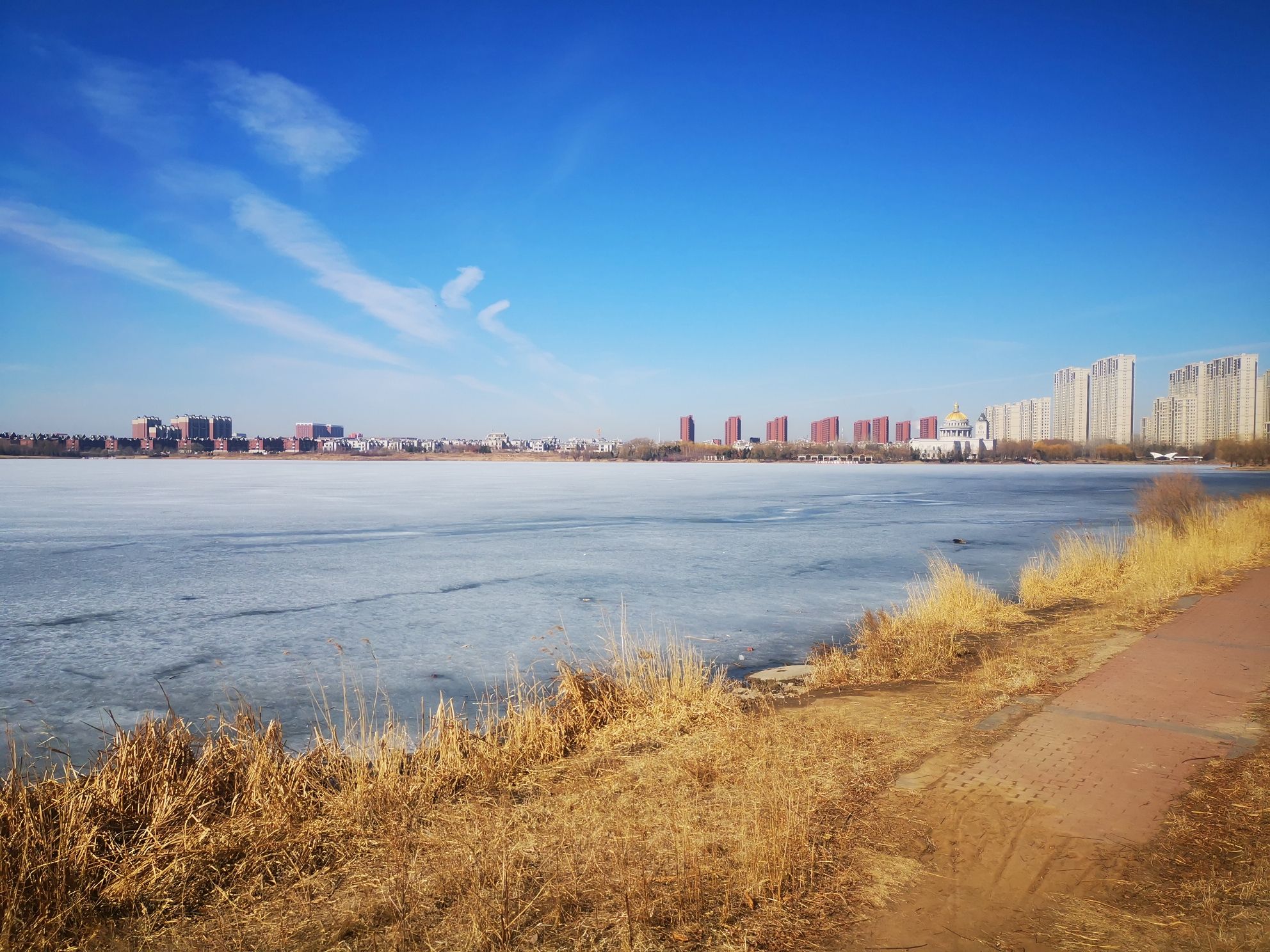 天茂湖公园旅行图片 3
