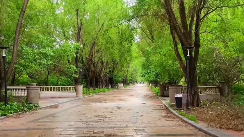 天茂湖公园旅行图片 3