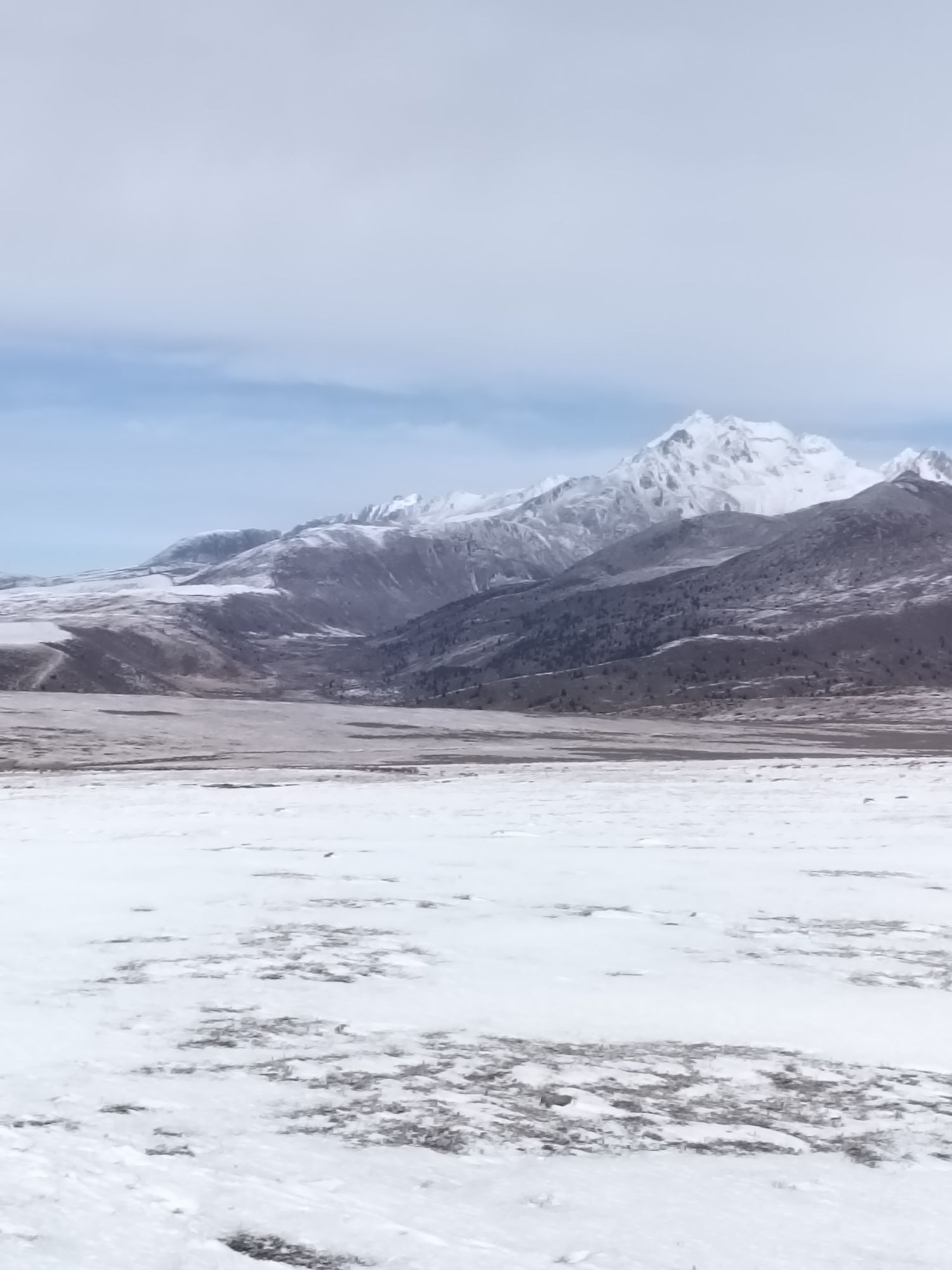 甘孜大草原最佳观景台旅行图片 3