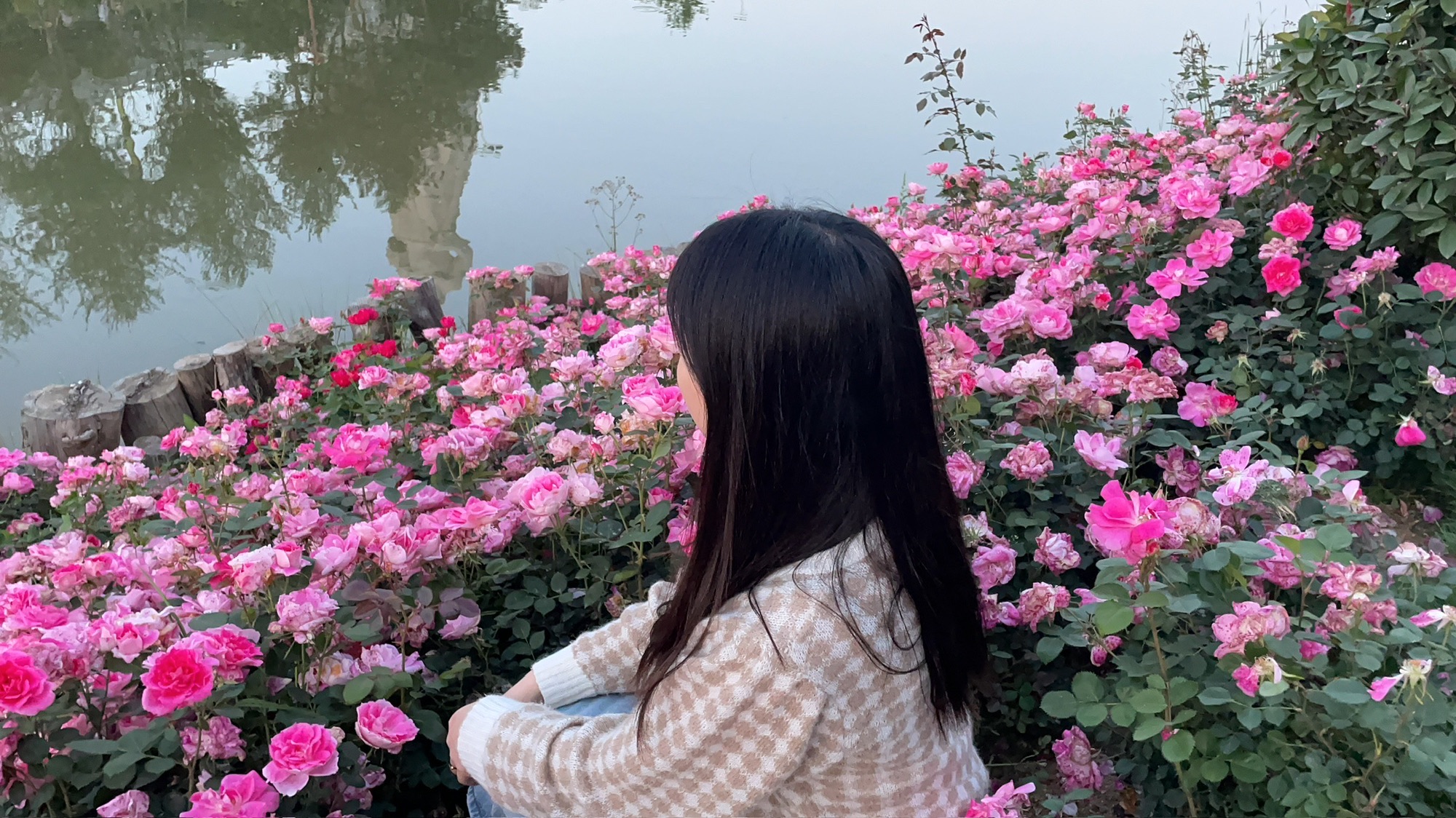 茶祖文化公园旅行图片 2