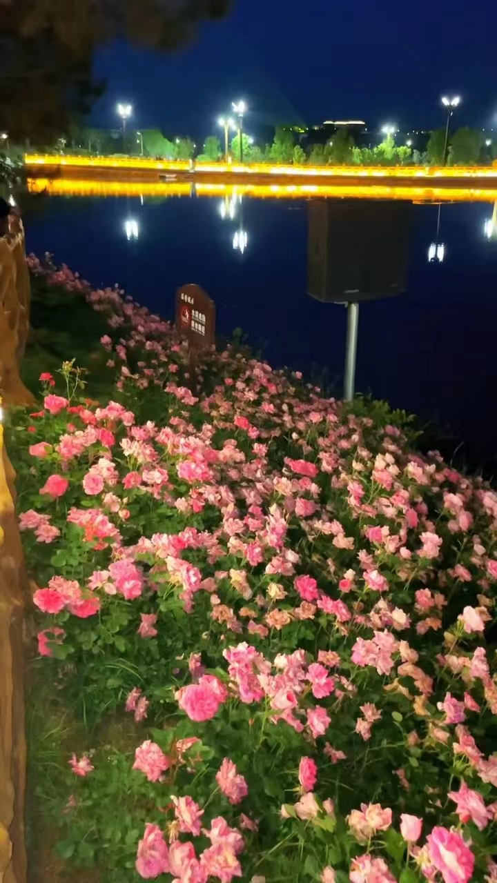 茶祖文化公园旅行图片 2
