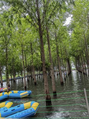 杉林部落旅行图片 3