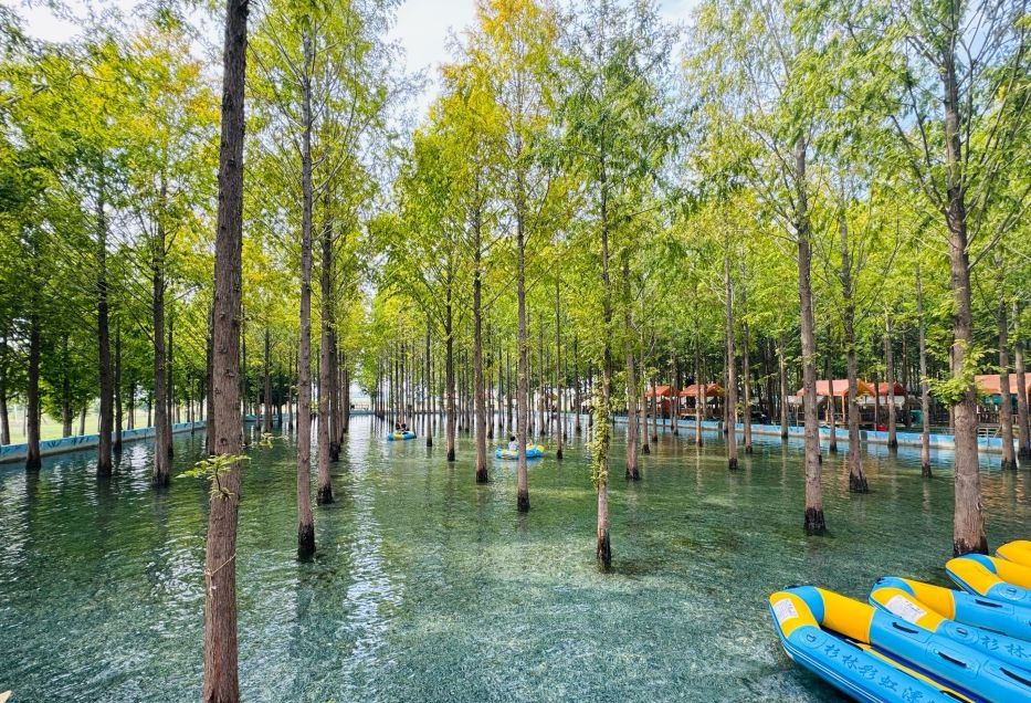 杉林部落旅行图片 2