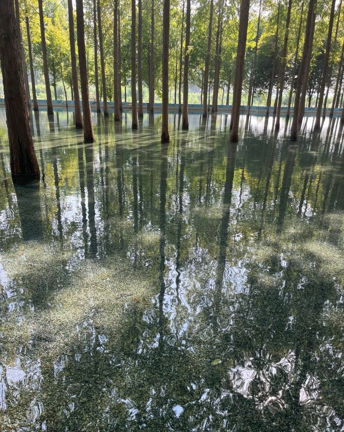 杉林部落旅行图片 3