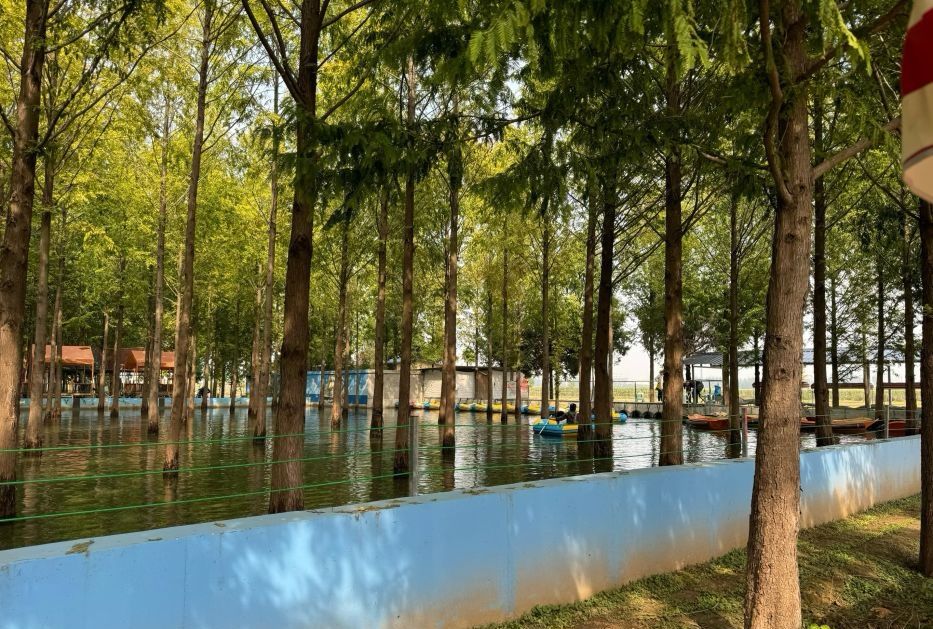 杉林部落旅行图片 1
