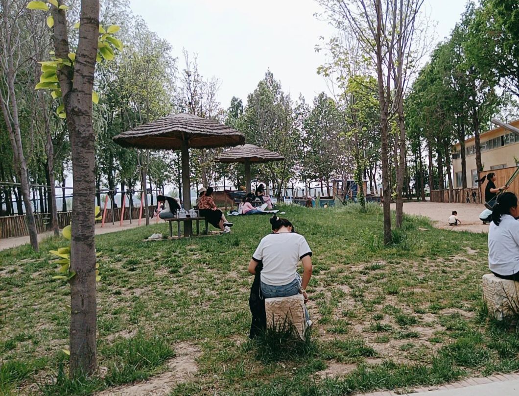 杉林部落旅行图片 2