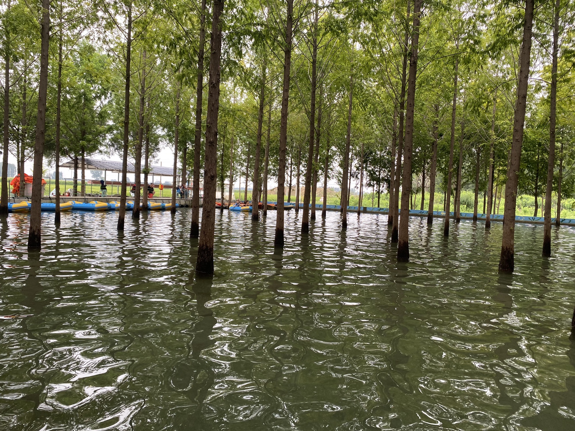 杉林部落旅行图片 3