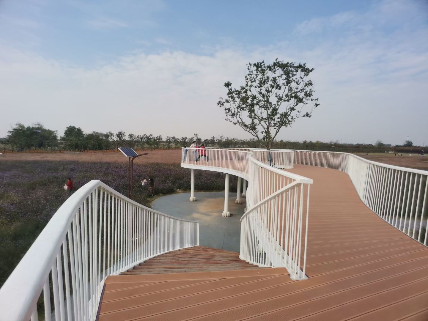 和县浮沙圩湿地公园旅行图片 2