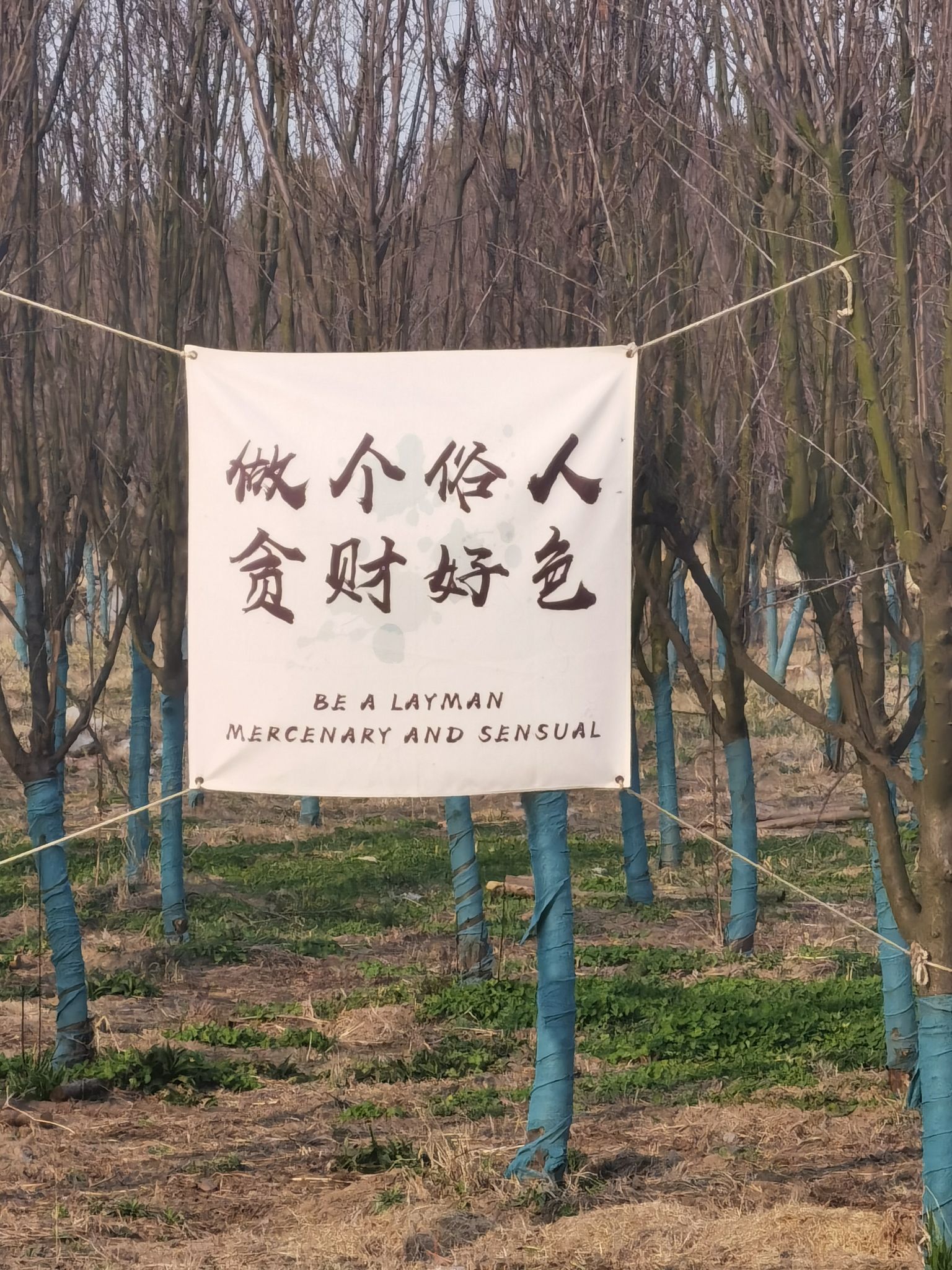 和县浮沙圩湿地公园旅行图片 3