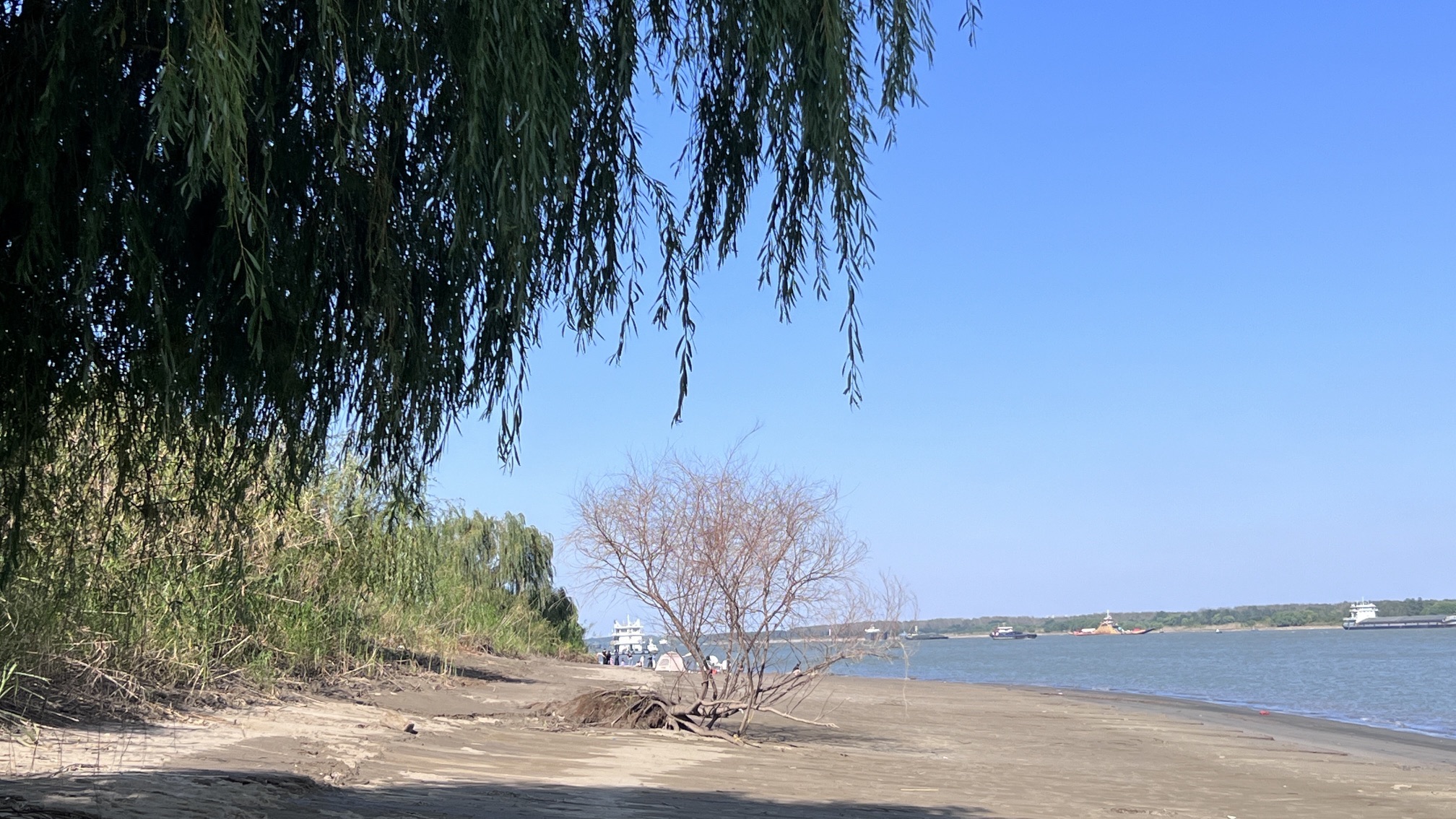 和县浮沙圩湿地公园旅行图片 2