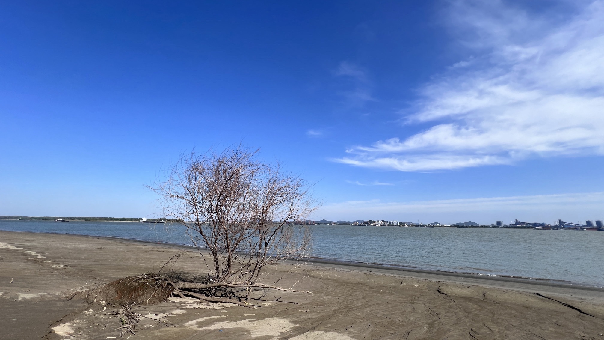 和县浮沙圩湿地公园旅行图片 1