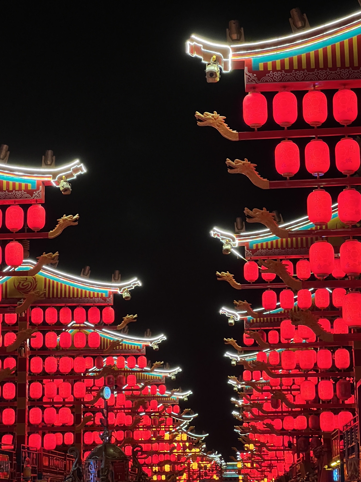 凤凰不夜城(暂停开放)旅行图片 1