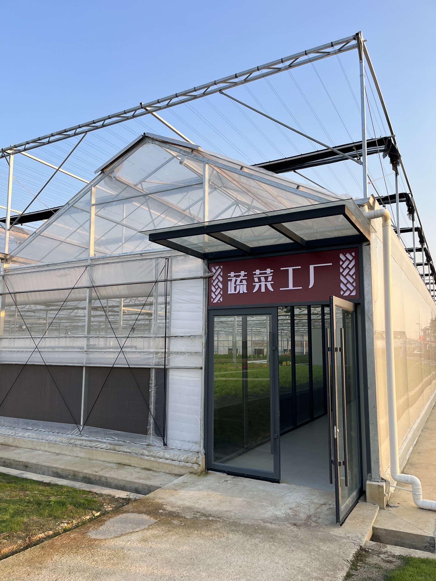 武汉农业集团空港湿地花田旅行图片 1