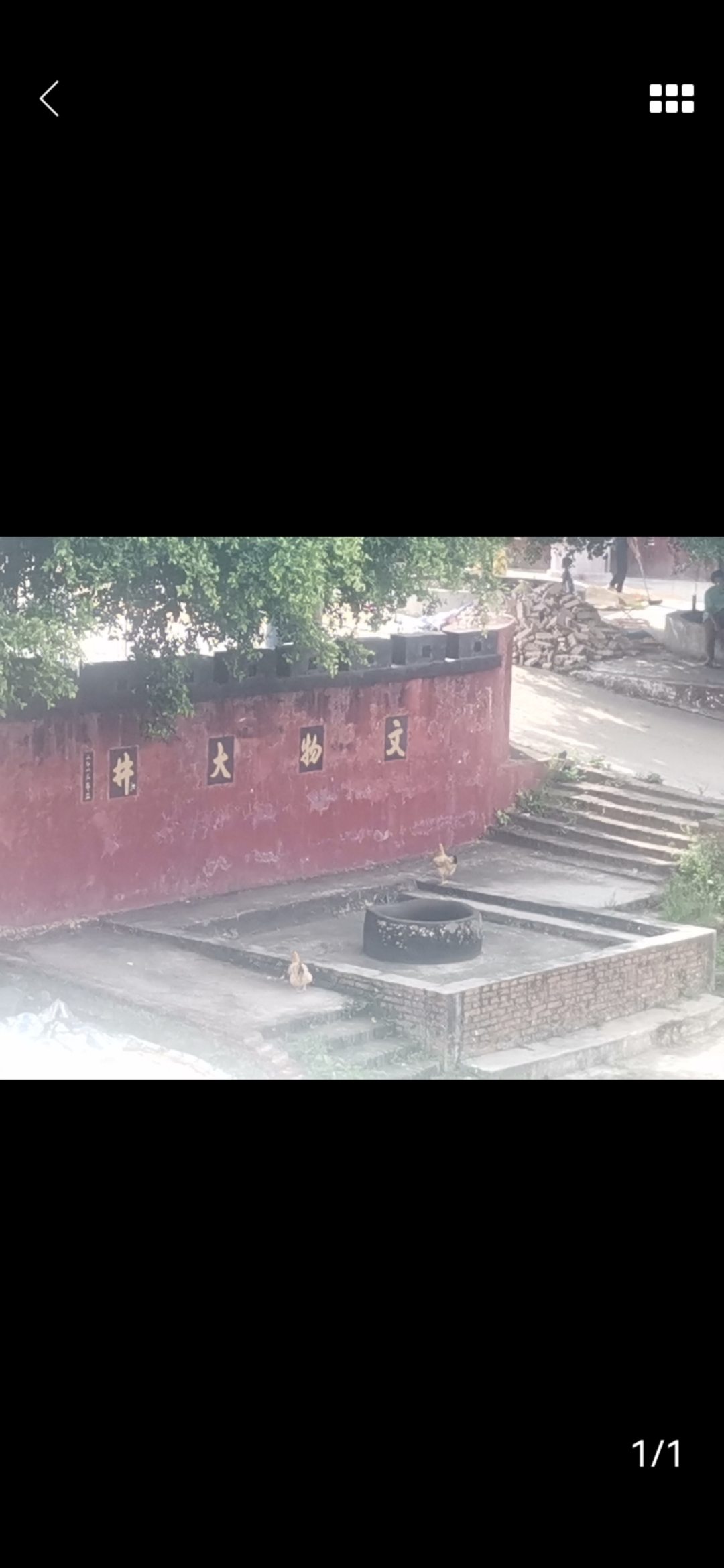 雷州市大井村古井旅行图片 1