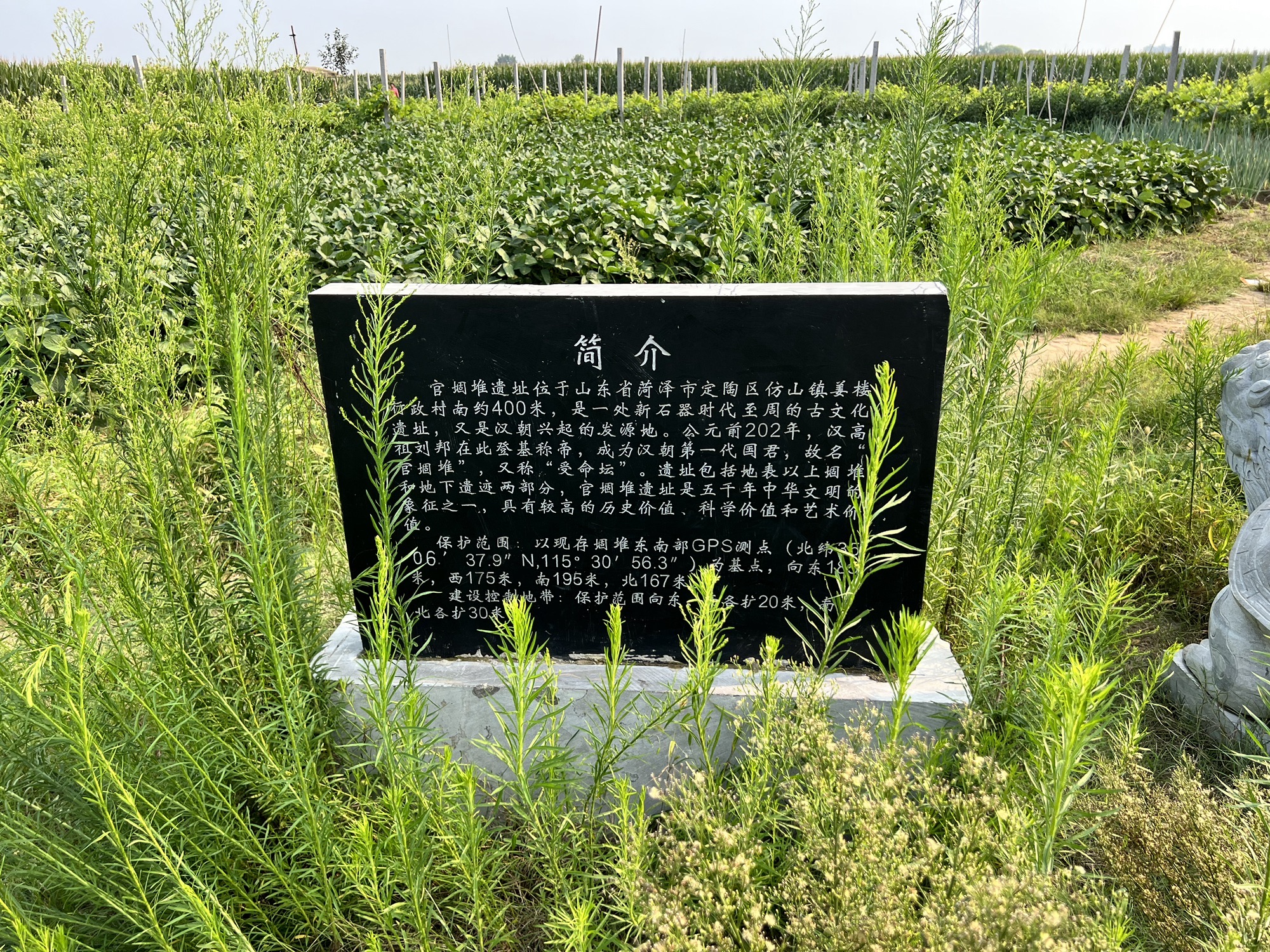 官堌堆遗址旅行图片 1