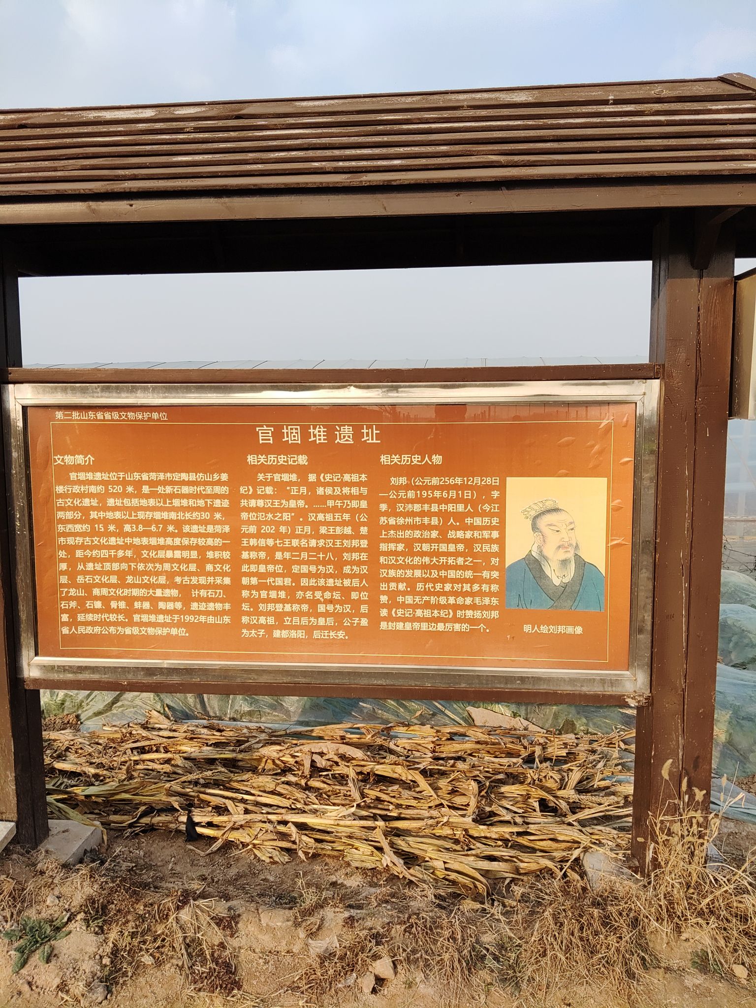 官堌堆遗址旅行图片 1