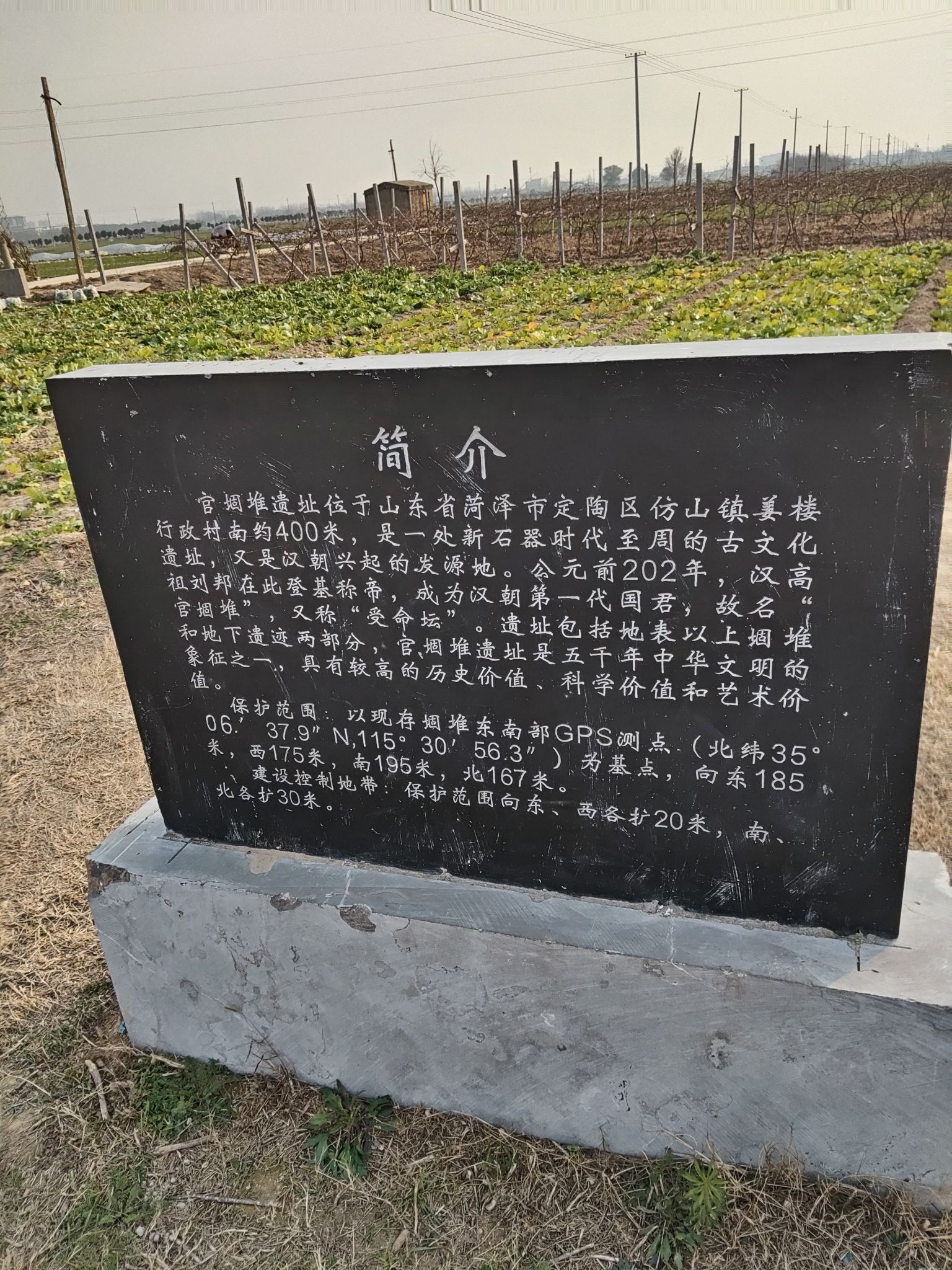官堌堆遗址旅行图片 3