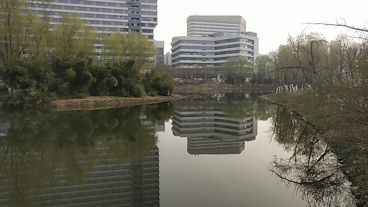 康园