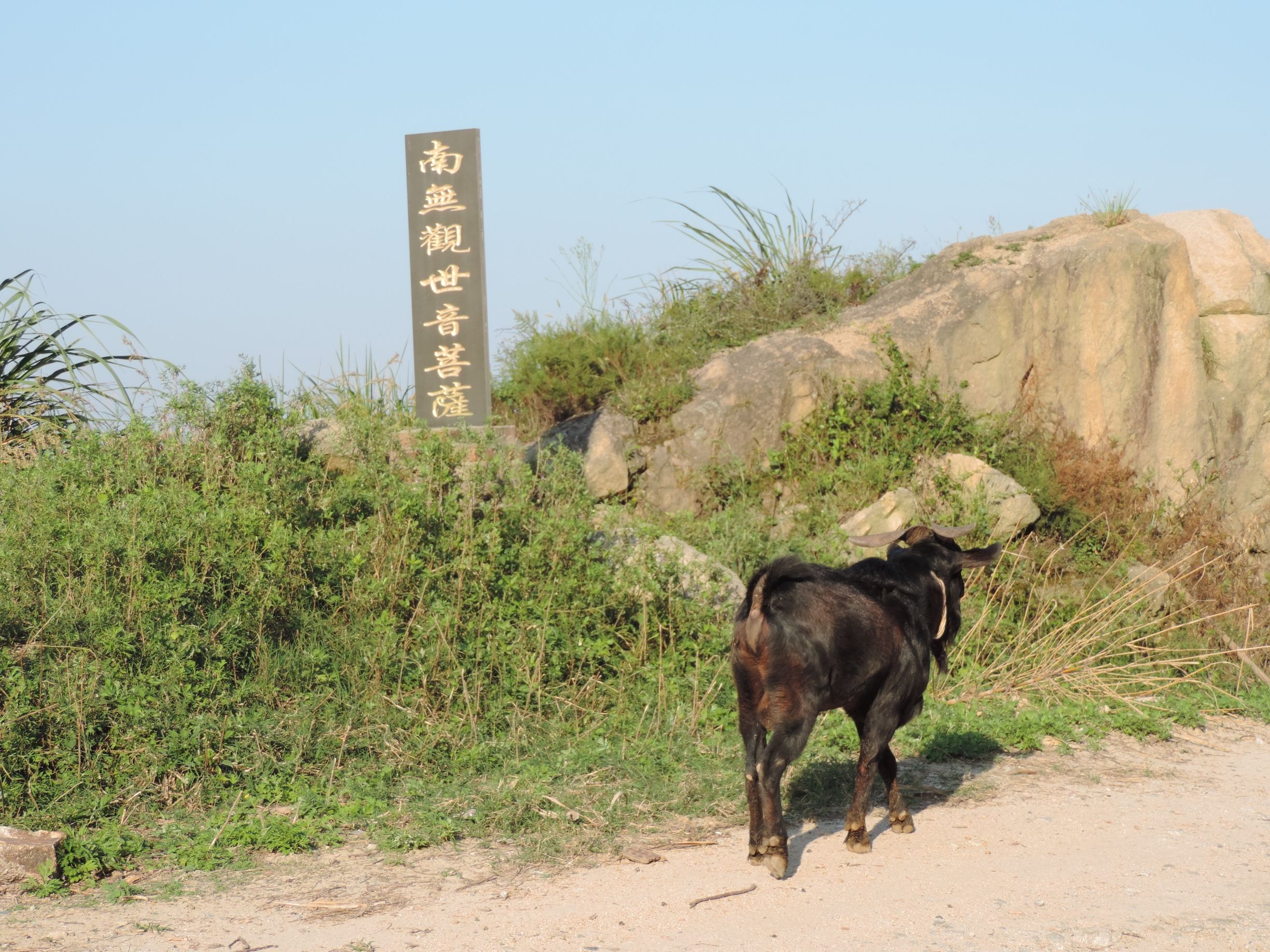 东海1号风景观光台(积石2号观景平台)旅行图片 2