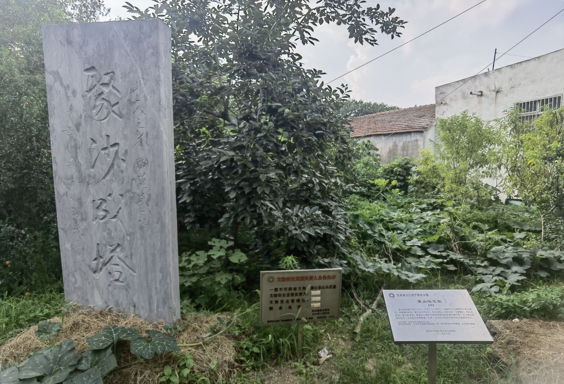 奎山塔遗址(明)旅行图片 3