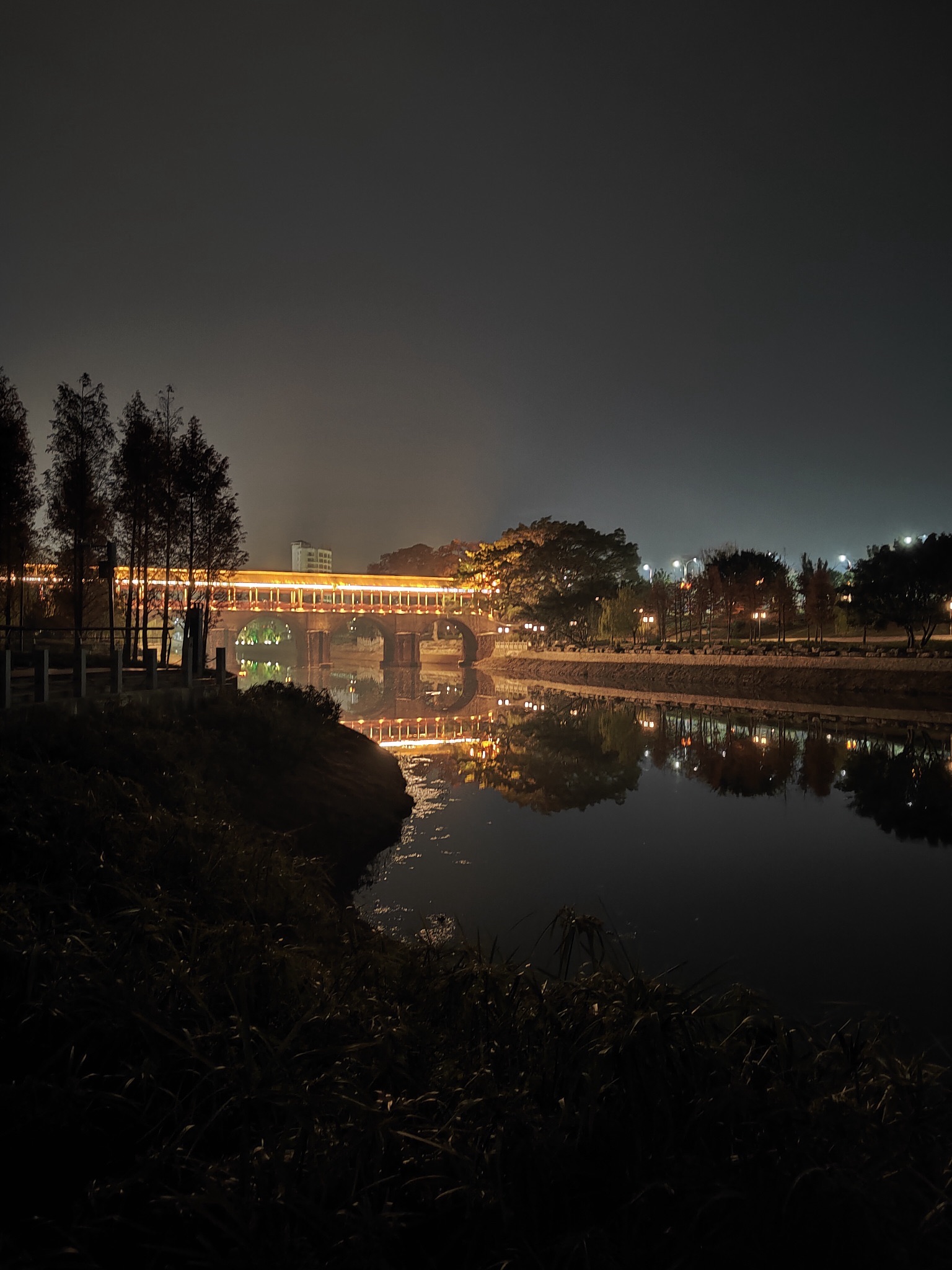 金瑞湾公园旅行图片 2