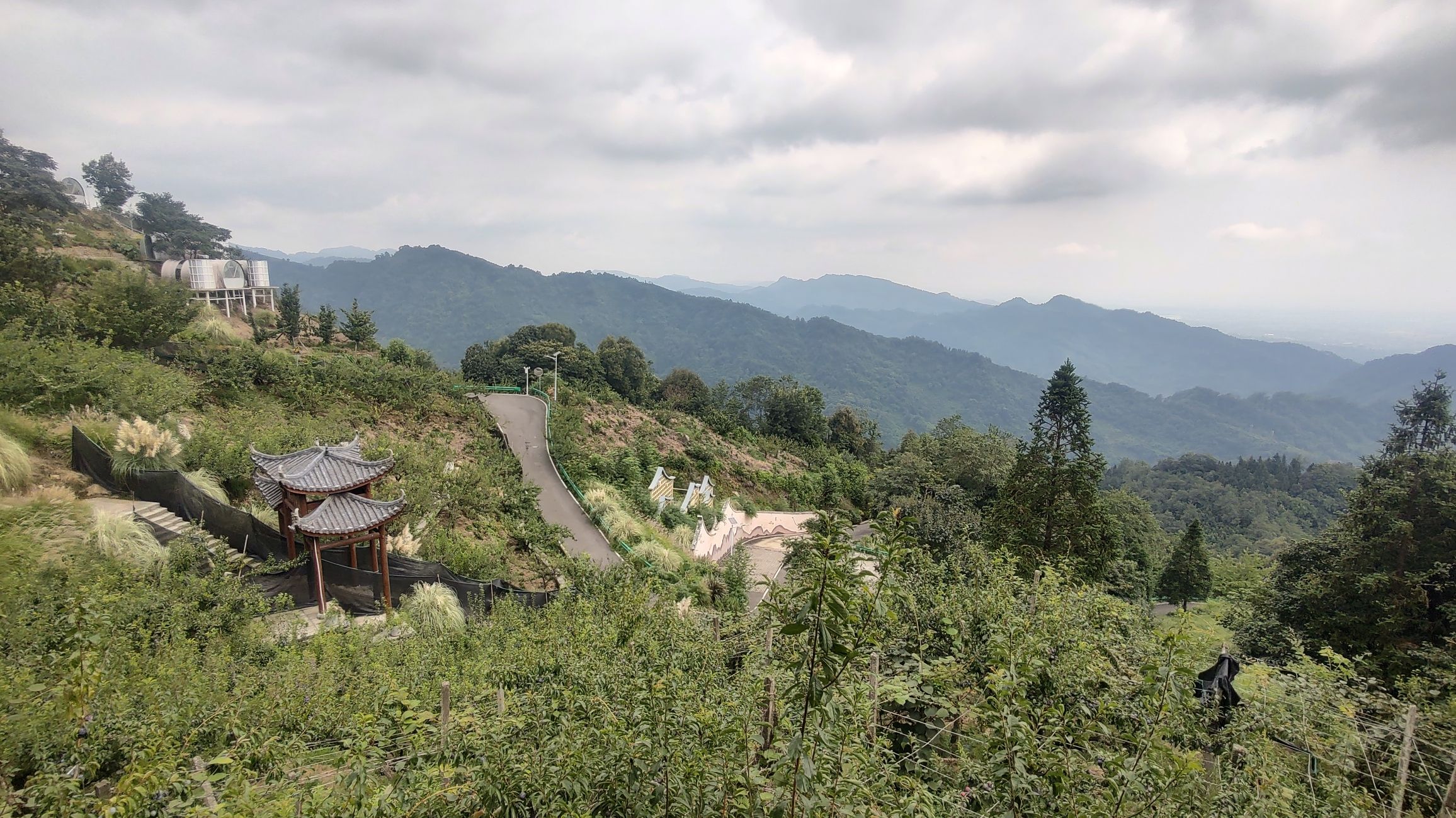天街李子坪旅行图片 3