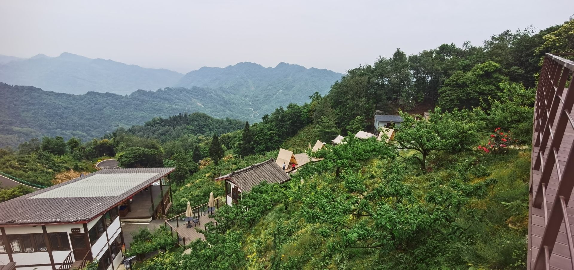 天街李子坪旅行图片 2