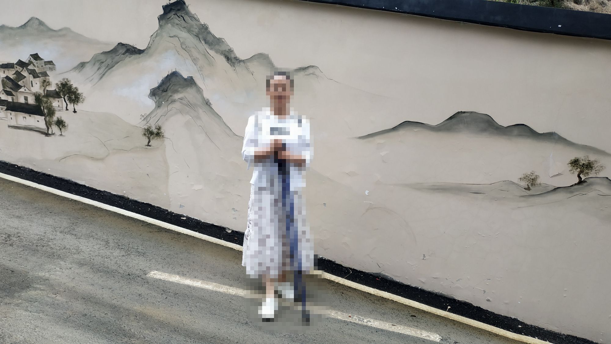 天街李子坪旅行图片 1