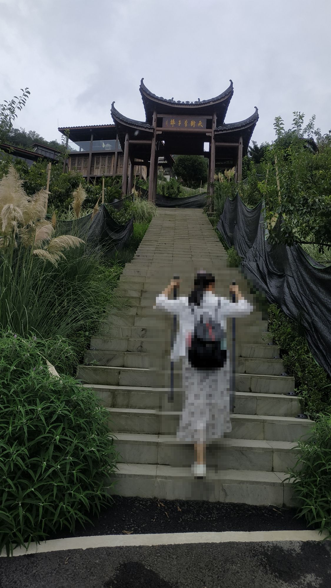天街李子坪旅行图片 2