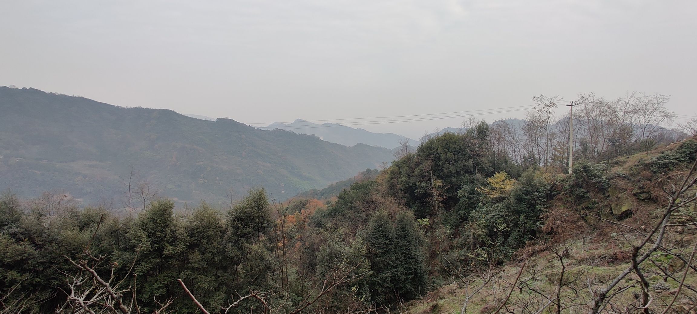 天街李子坪旅行图片 3