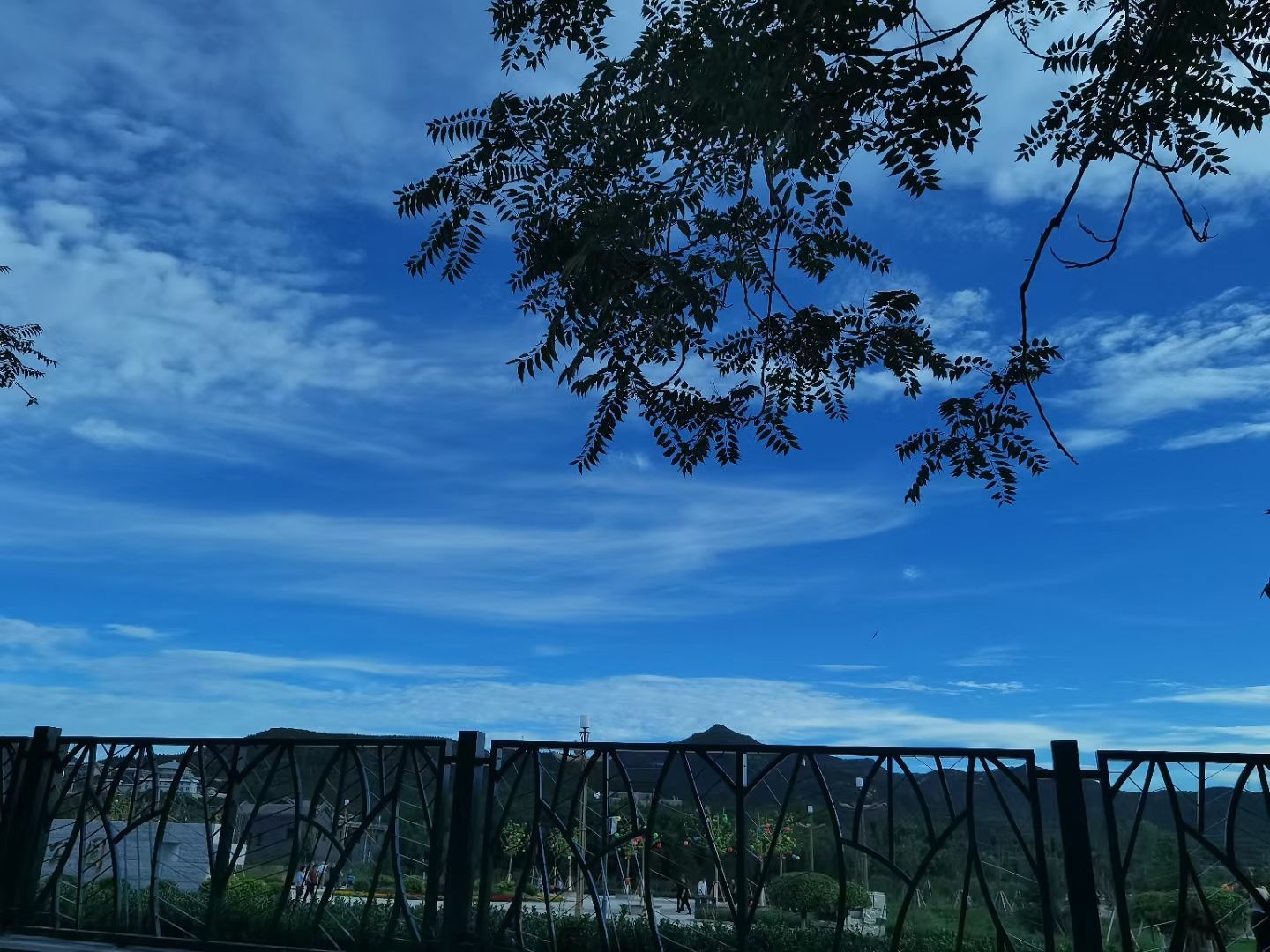 卦山公园旅行图片 2