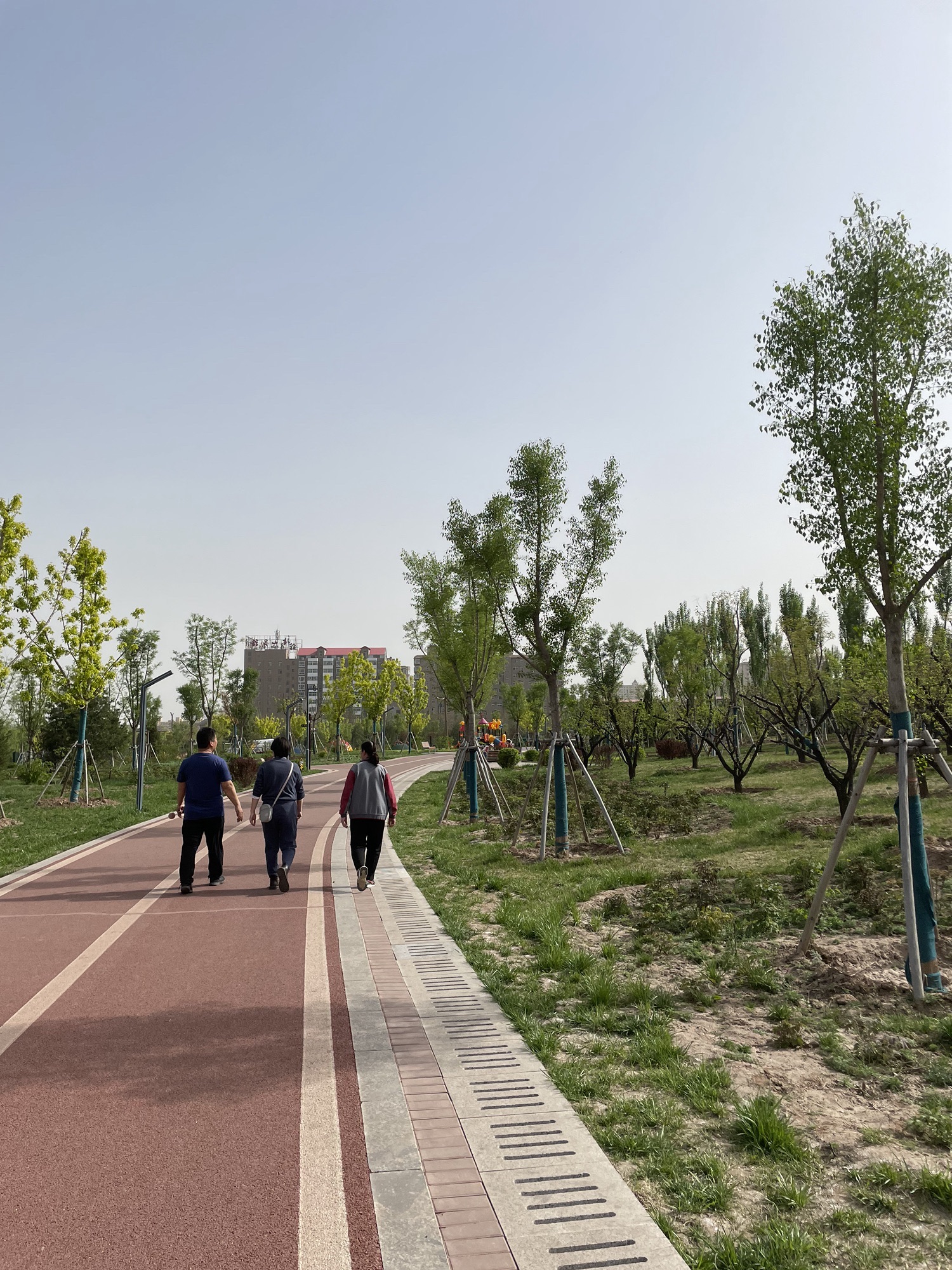 卦山公园旅行图片 2