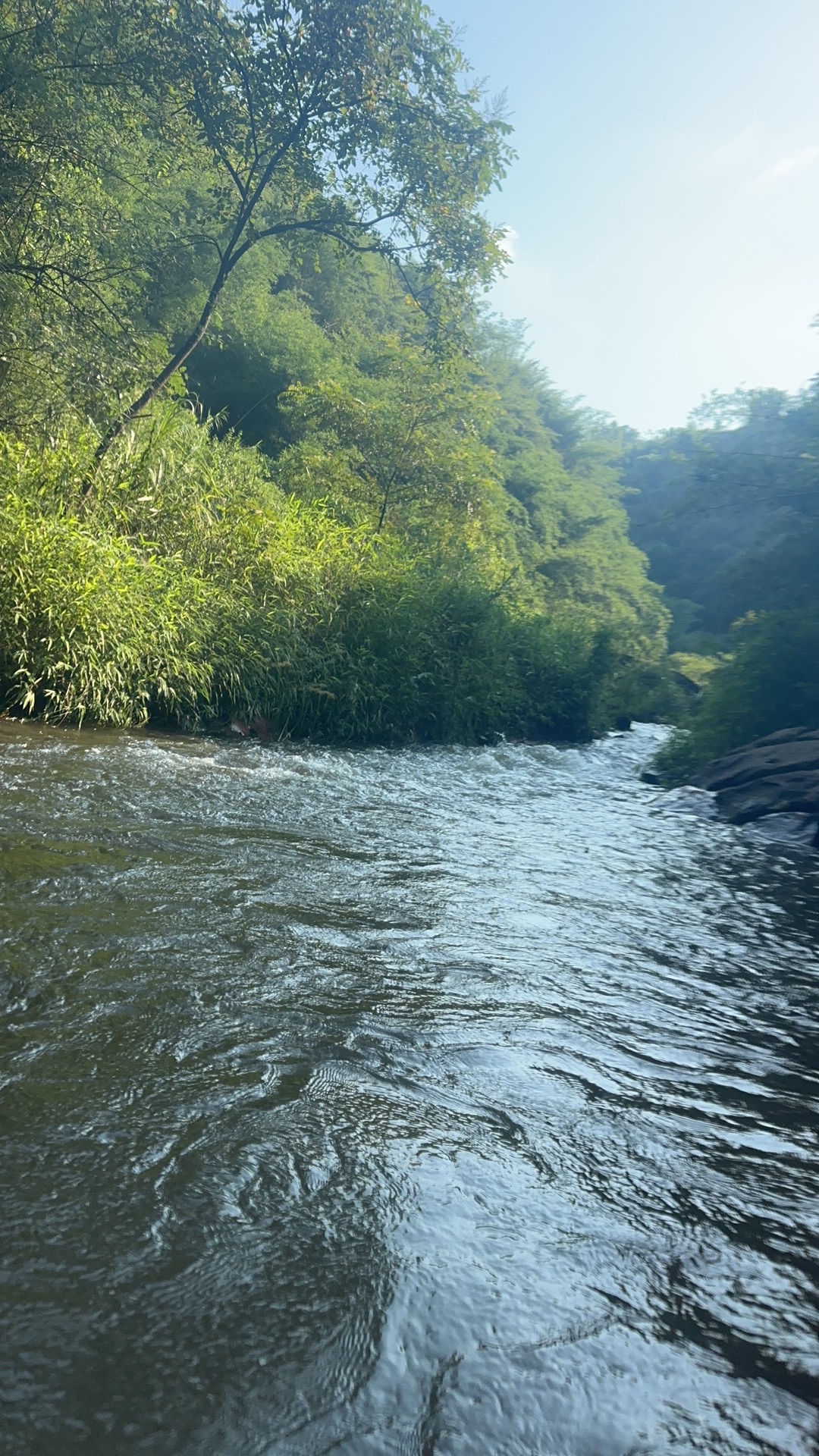 Luzhou·黄龙湖丛林漂流旅行图片 1
