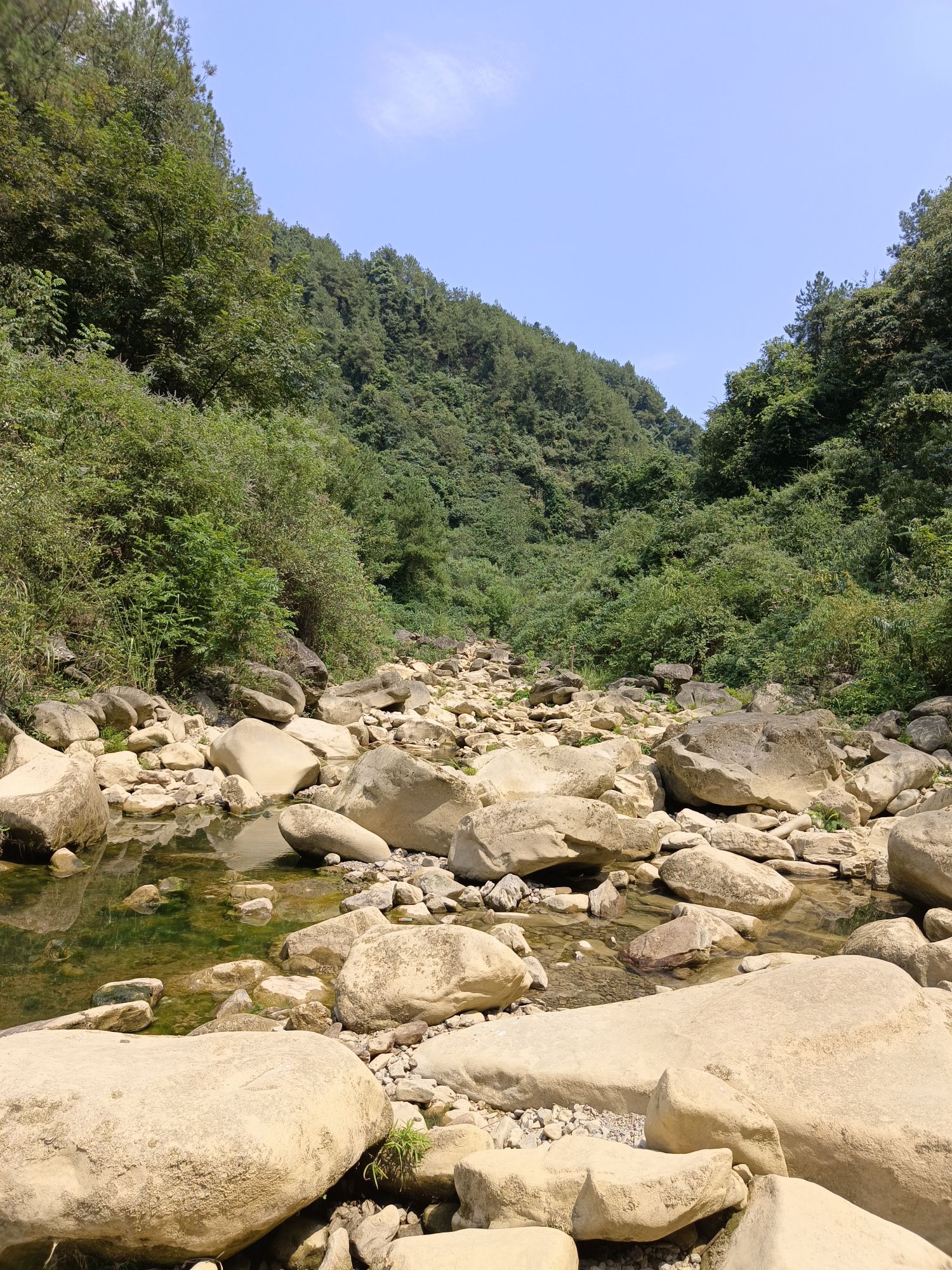 卧龙潭旅行图片 1