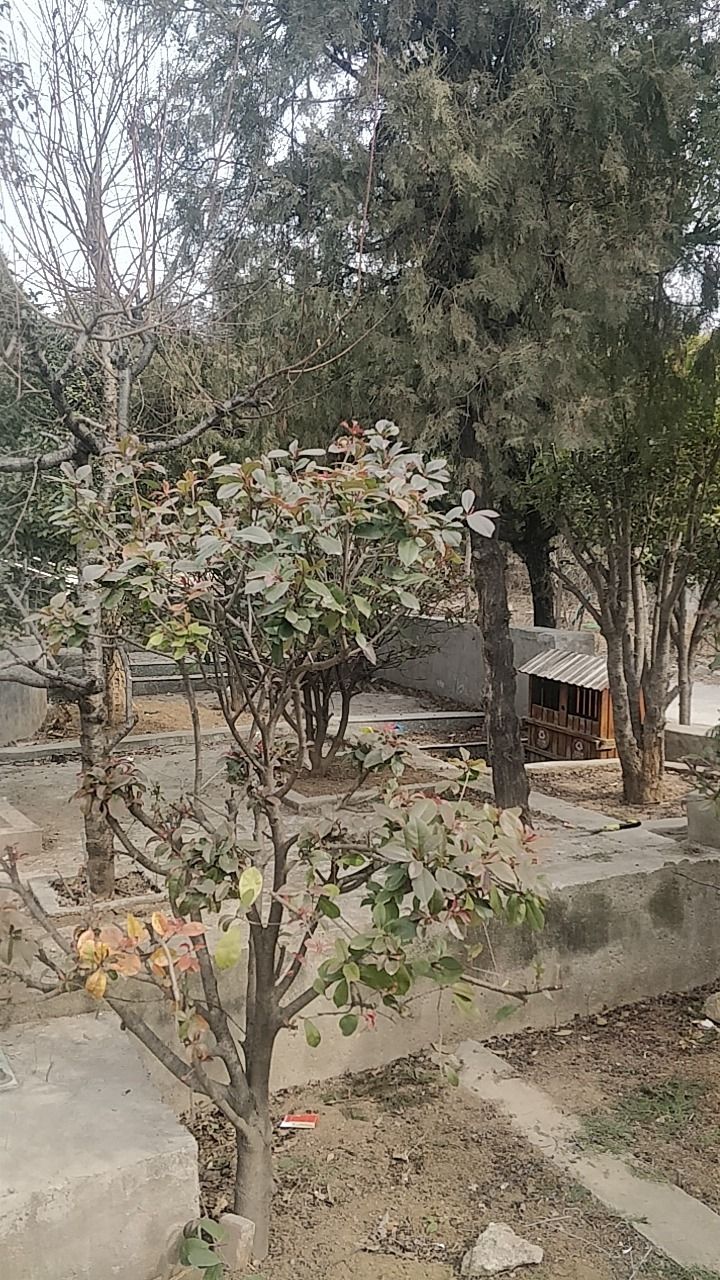 守一斋旅行图片 2