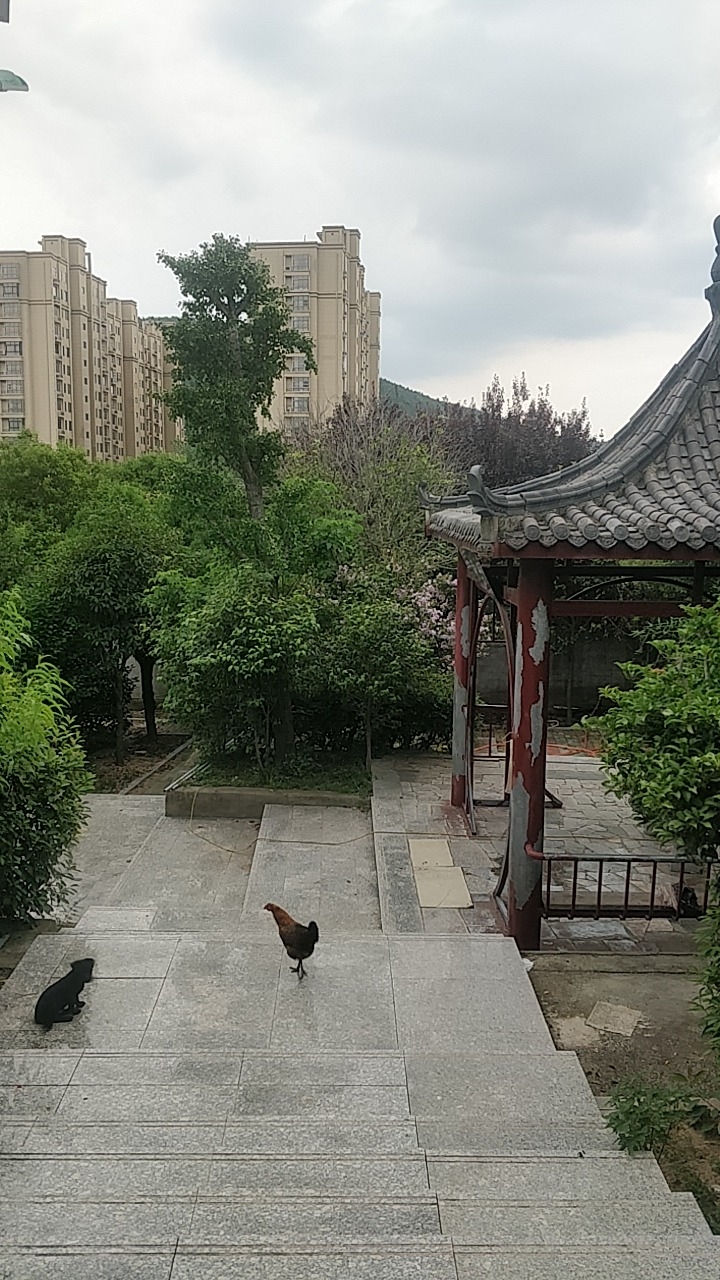 守一斋旅行图片 1