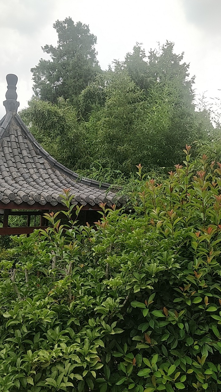 守一斋旅行图片 2