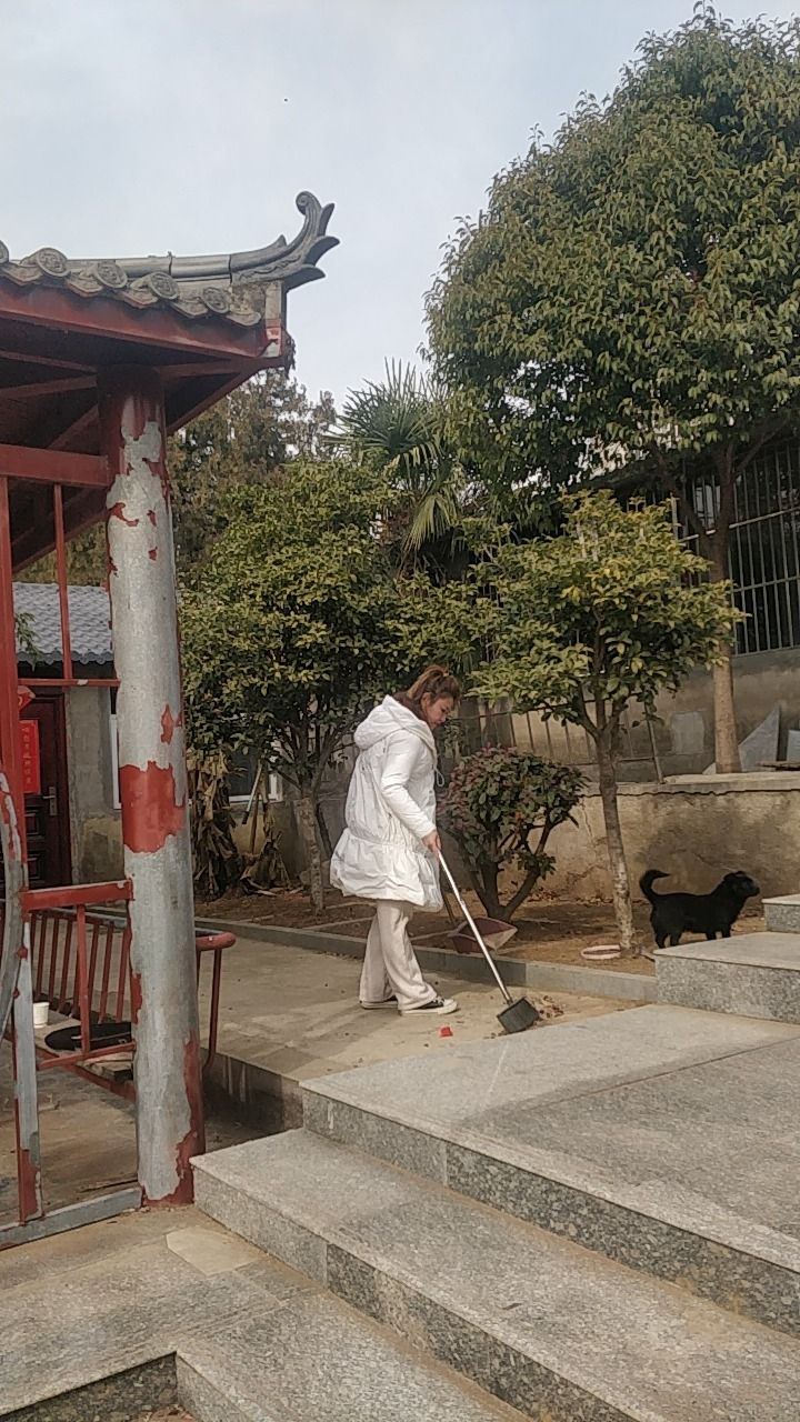 守一斋旅行图片 1