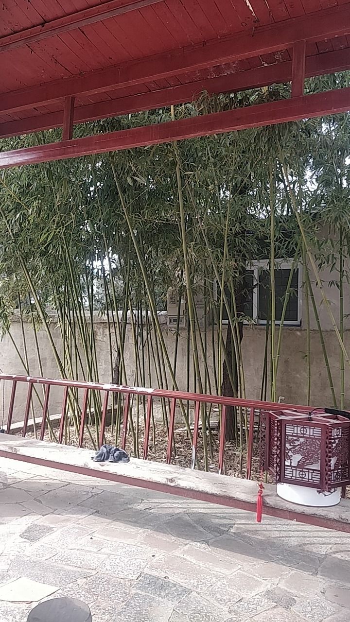 守一斋旅行图片 3