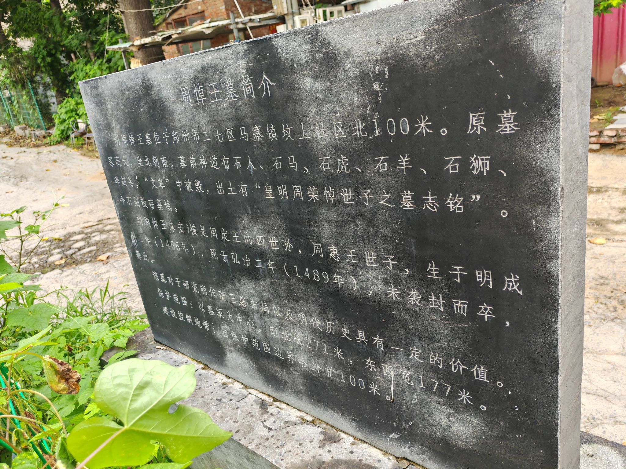 周悼王墓旅行图片 3