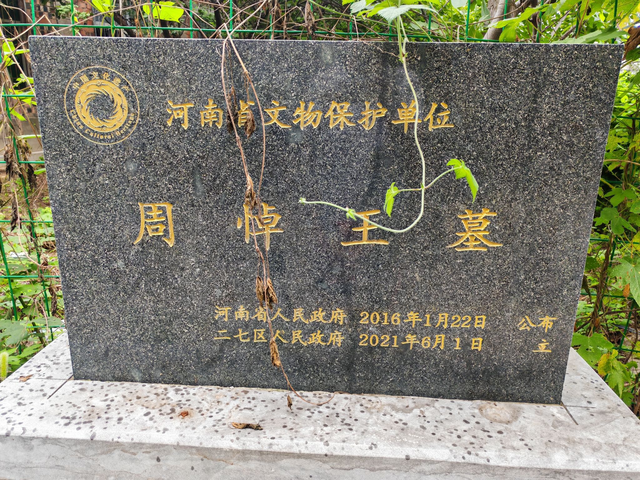 周悼王墓旅行图片 1